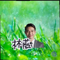 林薇